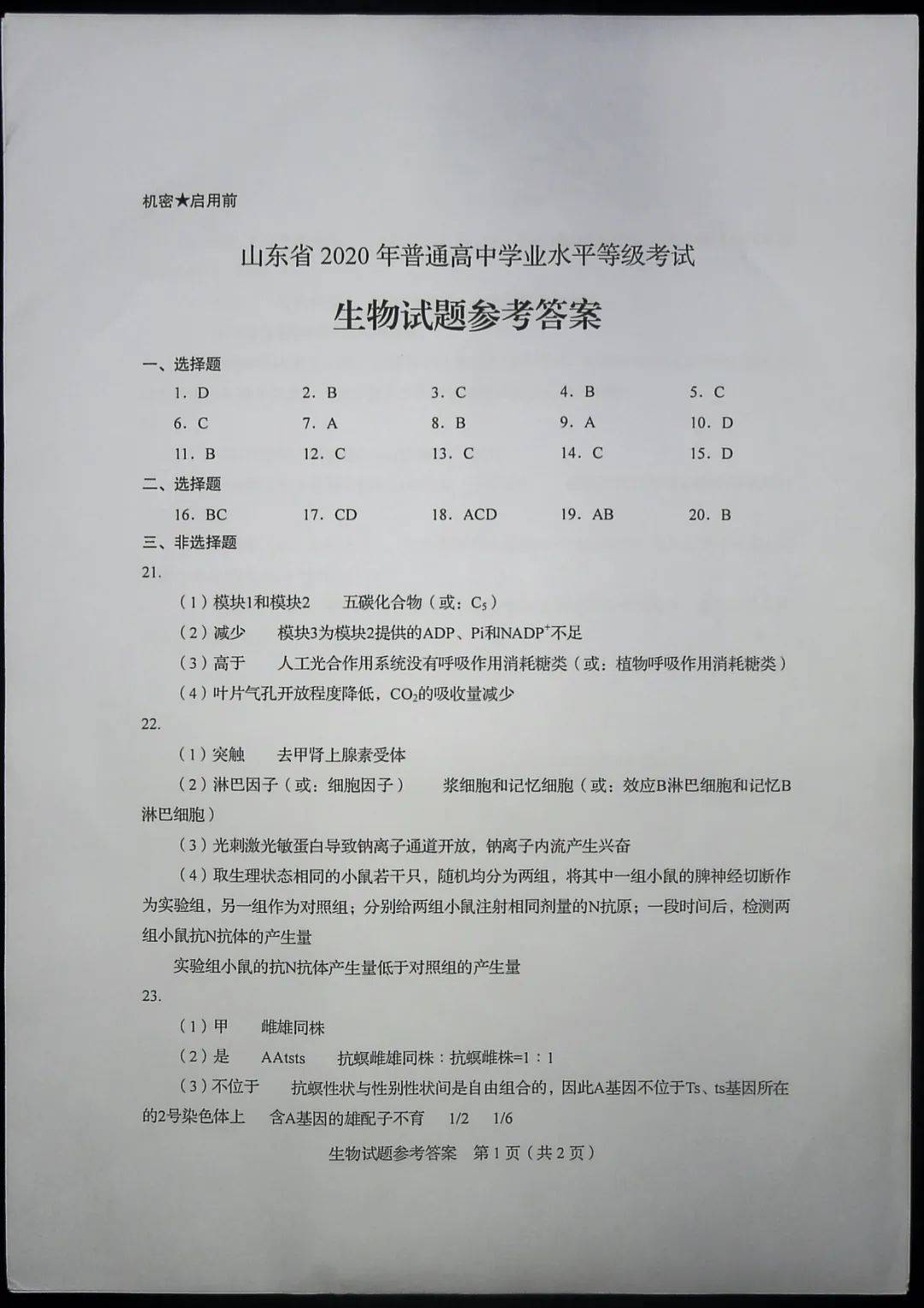 4949今晚开奖结果｜全新答案解释落实