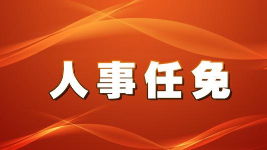 海南省最新人事任免动态概览