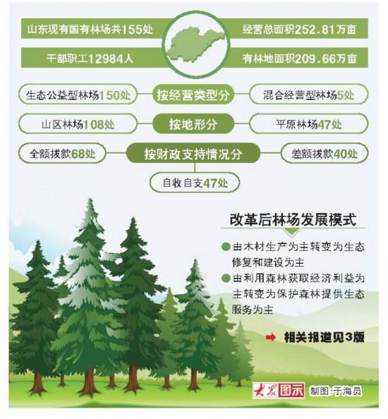 最新林业政策动态深度解读与分析