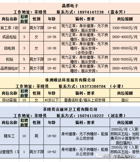 茶陵最新招聘信息汇总